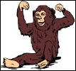Image (1) chimp.gif for post 1512
