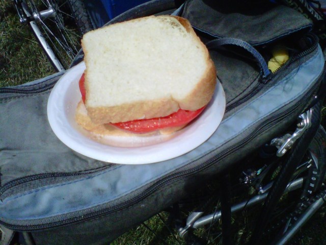 Fresh Tomato Sandwich