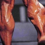 cantaloupe calves
