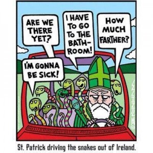 st. patrick drives the snakes