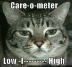 cat care-o-meter
