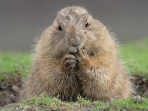 don't ask me, I've been sleeping