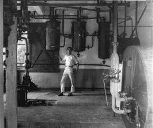 Palm Oil Extraction Photos Credit Wikimedia Commons