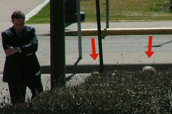 bachmann hiding in the bushes