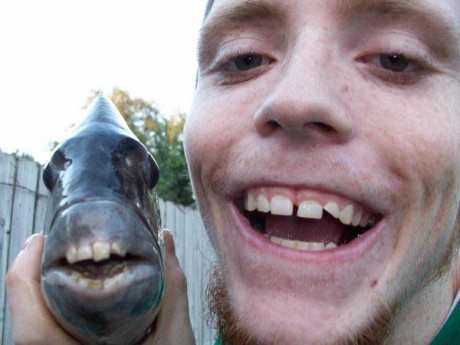 brothers from different mothers