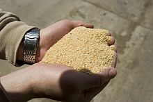 Soybean_Meal.jpg
