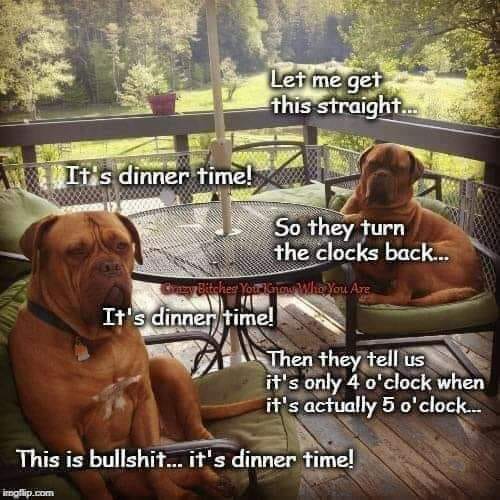 dogs discuss time change