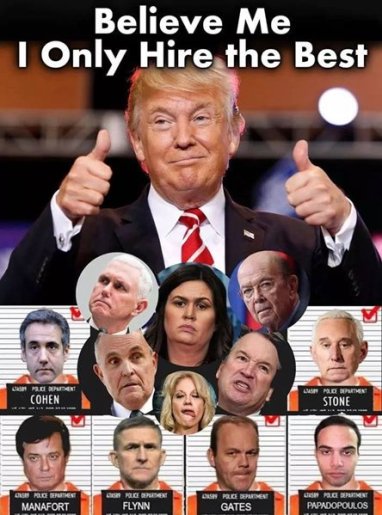 trump hires the best