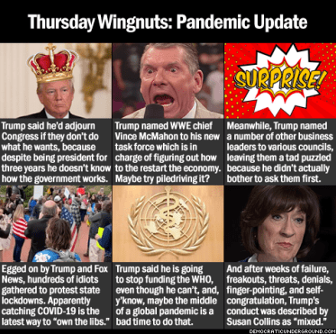King Trump pandemic report