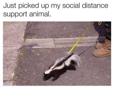 social distance support animal AHNC